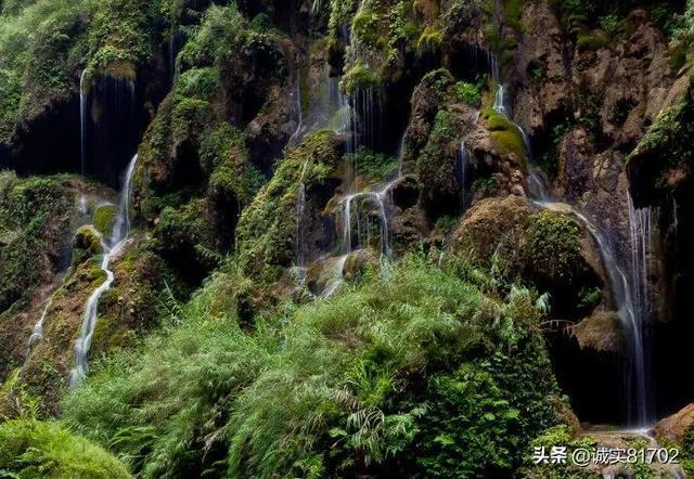 假面骑士Gotchard：说说格里昂针对黑钢的原因，难道其也不是一般人？